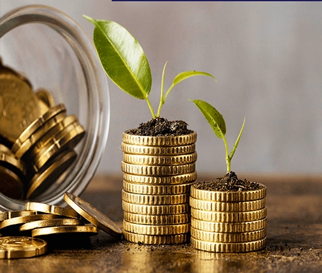 Your trusted partner in financial growth!
